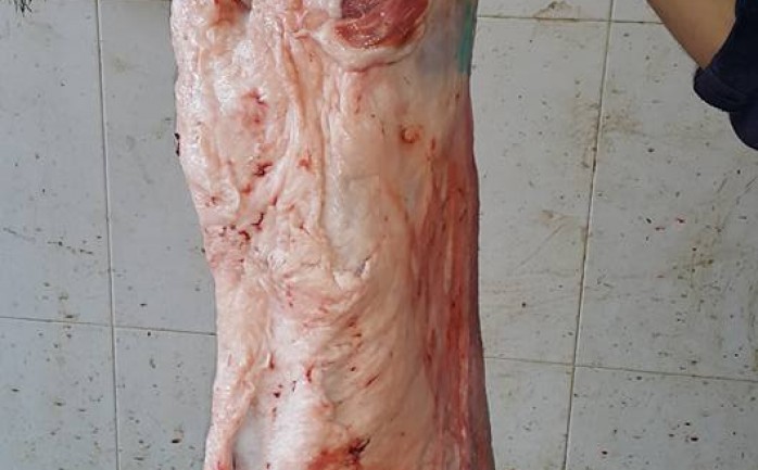 أجرت الإدارة العامة للرعاية الصحية &quot;الطب الوقائي&quot; حملة تفتيشية على بائعي اللحوم الطازجة في مدينة رفح جنوب قطاع غزة.

وقالت الإدارة عبر صفحتها الشخصية على موقع &quot;فيسبوك&quot; للت