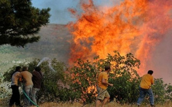 &nbsp;

أحرقت الليلة الماضية، عشرات أشجار الزيتون والدونمات الزراعية 