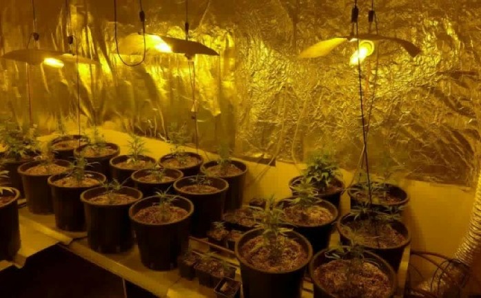 ضبط جهاز الامن الوقائي والشرطة في قلقيلية ظهر الثلاثاء، مستنبت لزراعة نبات القنب الهندي المخدر وبداخله 95 شتلة من اشتال (الهايدرو) المخدر بداخل غرفة في منزل أحد المواطنين في المدنية.