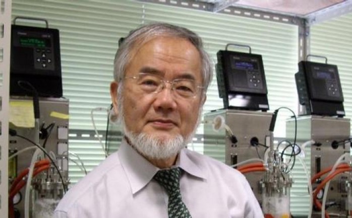حصل العالم الياباني يوشينوري أوسومي على جائزة نوبل للطب للعام 2016 كتقدير له على أبحاثه القيمة التي تتحدث عن الالتهام الذاتي والتي كان لها دوراً في فهم تجدد الخلايا وردة فعل الجسم على الجوع و