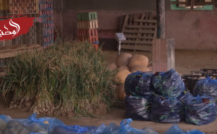 جولة لطواقم وزارة الزراعة في أسواق غزة