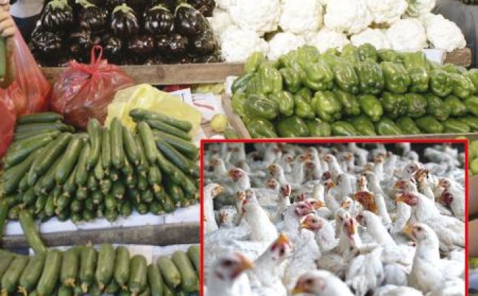 قالت وزارة الزراعة في قطاع غزة إن أسعار الخضار والفواكه تشهد انخفاضا كبيرا بسبب ازدياد المعروض في الأسواق وتنوعه.

وأوضح الناطق الإعلامي بوزارة الزراعة