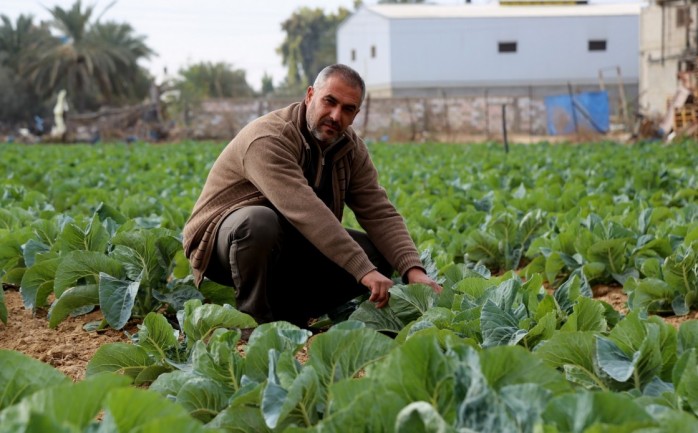 أحد المزارعين في غزة