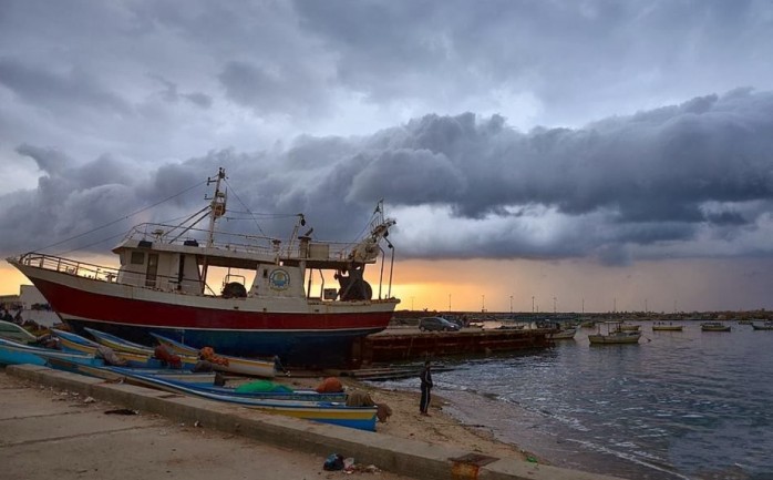 جانب من ميناء غزة