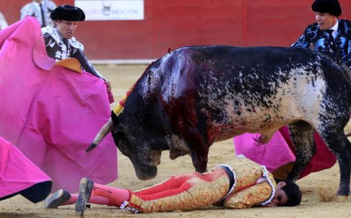توفي مصارع الثيران الإسباني فيكتور باريو بعد تعرضه لضربة بقرن ثور ضمن فعاليات يوم السبت الخاص بمهرجان "أنخل".

ونقل المصارع عقب تعرضه لنطحة الثور إلى العيادة ولم يتمكن الأطباء من فعل شيء لإ