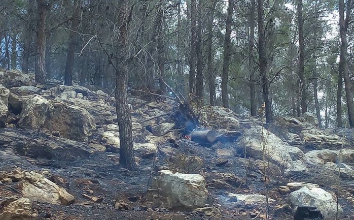 نشب حريق ضخم يوم أمس، في قرية "الباذان" الواقعة شمال شرق مدينة نابلس، حيث التهم  أكثر من 420 دونم.