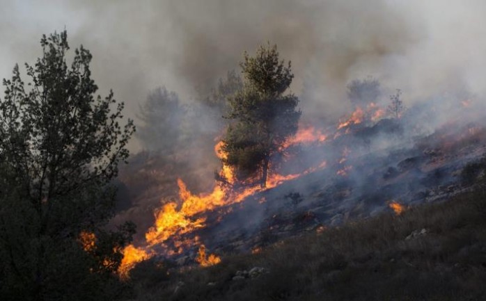 اعتقلت قوات الاحتلال الإسرائيلي فلسطينياً بزعم الاشتباه بهم في التعمد بإشعال الحرائق، بحسب ما أكد موقع "واللا" العبري.