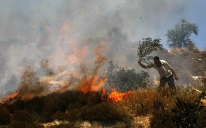 تسببت قوات الاحتلال الإسرائيلي بعد منتصف الليلة الماضية، باشتعال النيران في أراضي بمحيط برك سليمان جنوب مدينة بيت لحم