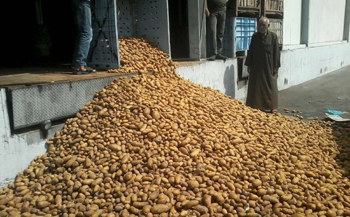 أعلنت وزارة الصحة صباح اليوم الاثنين عن ضبطها واتلاف كميات من البطاطس الغير صالحة للإستخدام.

وأوضحت الصحة أنها قامت بإتلاف 17 طن من محصول البطاطس الغير صالحة للإستهلاك الآدمي.

وقامت بنش
