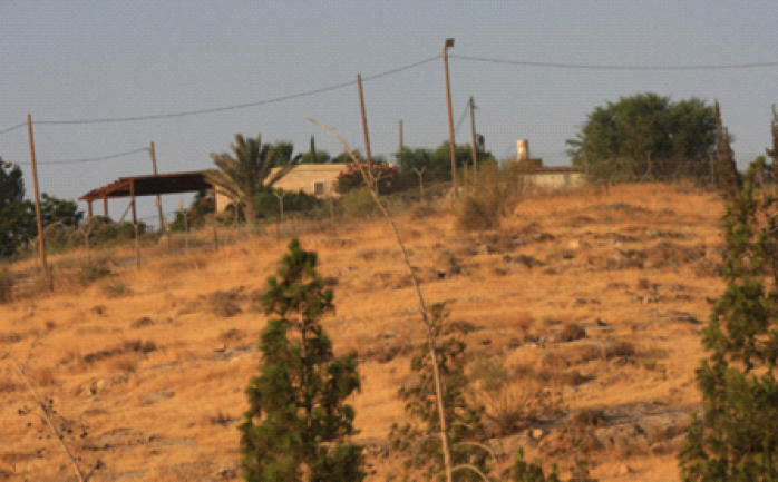 أقدم مستوطنون، الليلة الماضية، على سرقة محصول الزيتون في الأراضي التابعة لمزارعي دير شرف، شمال غرب نابلس.

