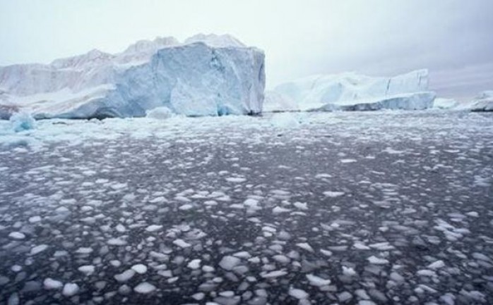حذر علماء من أن جليد القطب الشمالي يذوب بمعدل غير مسبوق، وذلك بسبب ارتفاع درجات الحرارة بشكل غير عادي.

