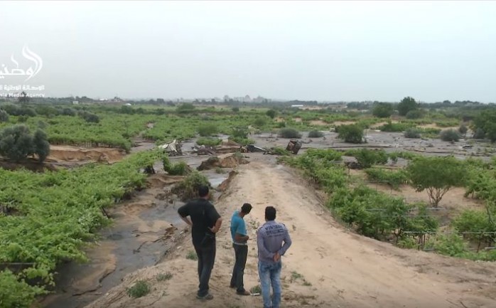 أغرقت مياه الصرف الصحي، اليوم الثلاثاء، أراضي المواطنين الزراعية غرب مدينة غزة، بعد أن تعطلت مضخات أحواض المياه.