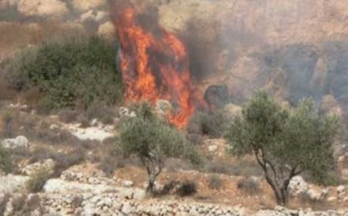 الاحتلال يحرق محاصيل زراعية في الضفة (أرشيف)