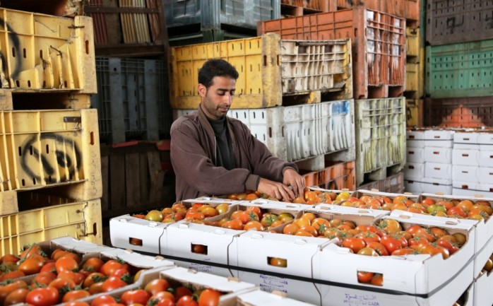 أسواق خضروات الجملة في غزة
