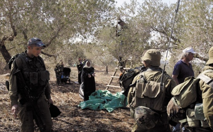 قوات جيش الاحتلال تحمي المستوطنين أثناء هجومهم على مواطنين فلسطينيين "يجدّون" الزيتون