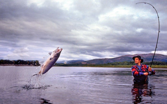 تفسير حلم صيد السمك بالسنارة أم الشباك لابن سيرين الوطنية للإعلام