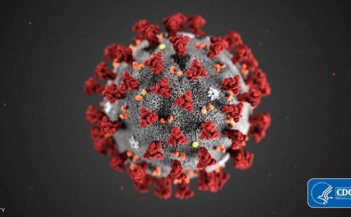 هكذا يبدو شكل فيروس كورونا المميت