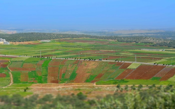 مساحات شاسعة من السهل الأخضر في قرية دير البلوط الشهيرة بزراعة خضار "الفقوس"